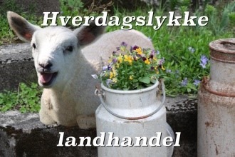 Hverdagslykke landhandel